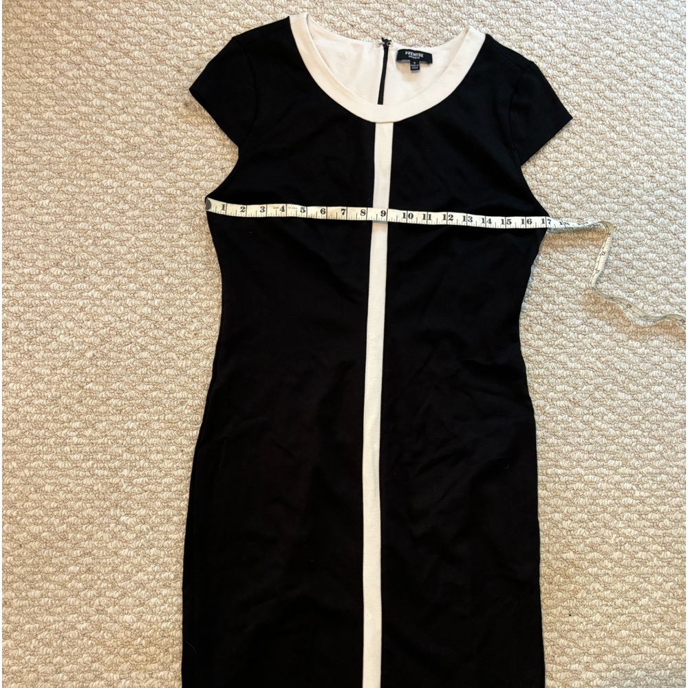 Premise Pencil Dress NWOT